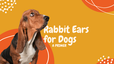 Why Grain-Free Rabbit Ears for Dogs Are Gaining Popularity
