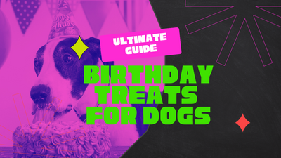 Birthday Dog Treats Ideas for your Pup