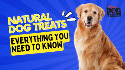 Natural Dog Treats: Everything You Need to Know