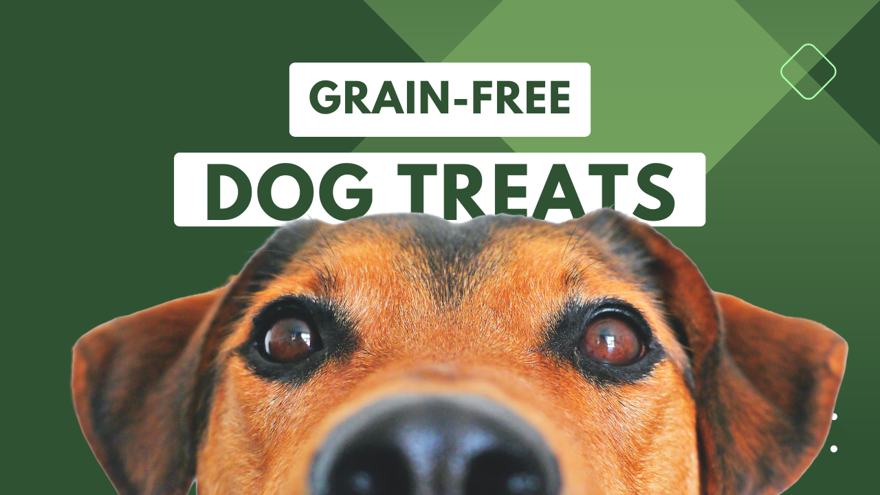Grain-free Dog Treats: Are They Good for your Dogs?