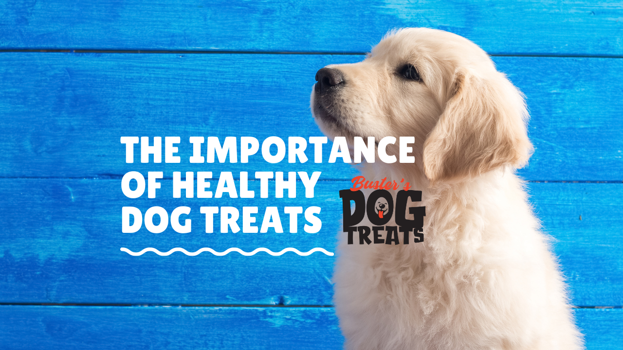 The importance of healthy dog treat