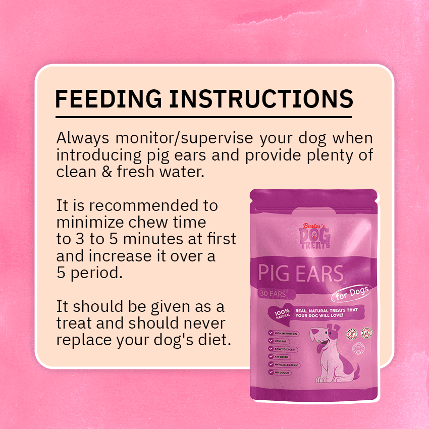Pig Ears For Dogs